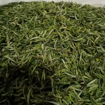 2020年春茶明前茶自家句容本地翠眉