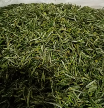 2020年春茶明前茶自家句容本地翠眉