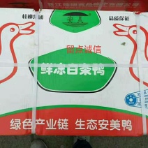 冷冻新鲜樱桃谷瘦肉型白条鸭光鸭子4.4斤/只整箱6只