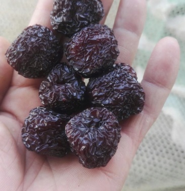 [黑枣批发]精选小核圆黑枣[山东乌枣]产地直销,核小肉厚,粒粒精选价格
