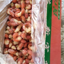莲子溪龙虾尾，2级，净虾4.5斤，厂家直销
