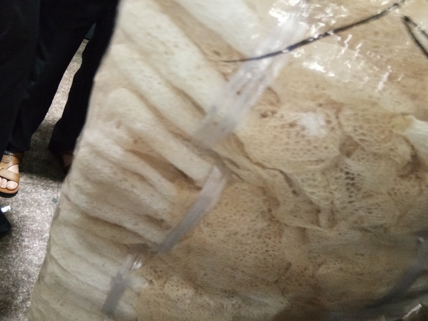 长裙竹荪的营养成分分析图