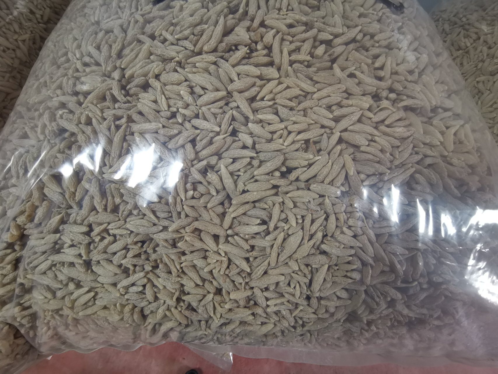 高清舌诊图谱:左侧为典型阴虚肺燥舌象——舌体瘦小、舌质红绛、少津无苔;右侧为禁忌证痰热壅肺舌象——舌质红、苔黄厚腻、舌边有齿痕;图中标注关键辨证点位置与颜色参数(RGB值),便于基层医师对照判断 中医辨证舌象对比图