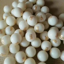 经营各种中药材