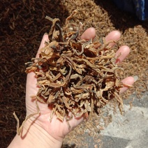 干豆角豆角段豆角结碎豆角60斤一件