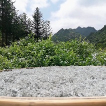 莓茶