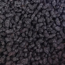 桑葚干【包邮】三斤起发货可批量可零售量大从优