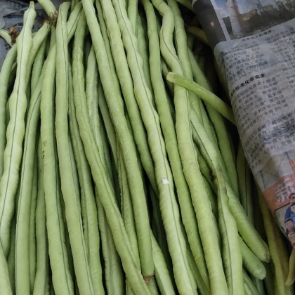 广西崇左豆角价格行情走势 - 一亩田