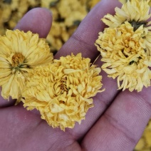 皇菊花茶大量批发零售