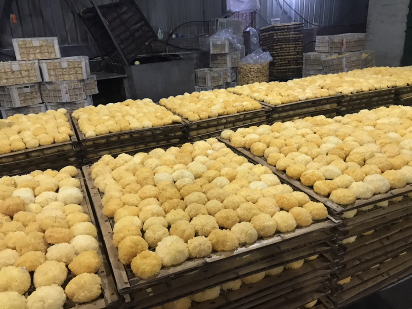 蜜花丑耳焯水过程示意图