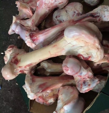 牛棒骨 牛副产品大量有货