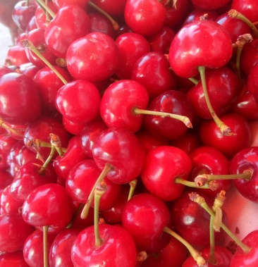 山西绛县史村美早大樱桃(不包邮)