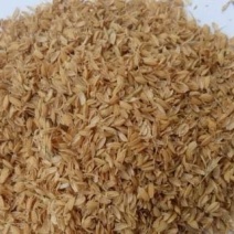 大量供应压缩稻壳