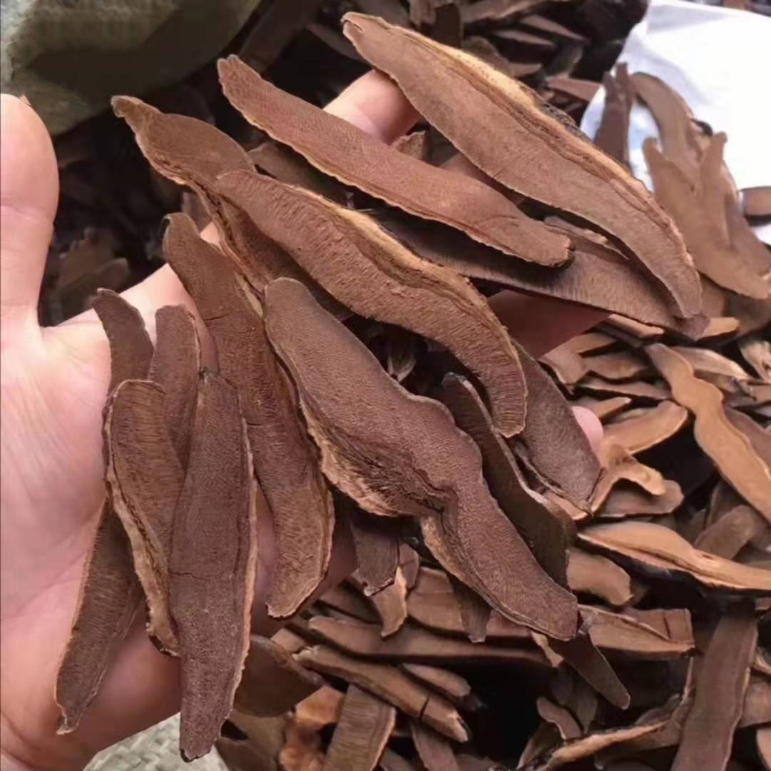 黑灵芝提取物在不同产品形态中的应用展示