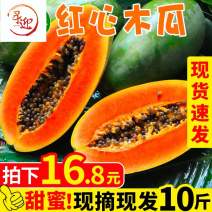 广西红心木瓜现摘现发牛奶青皮甜木瓜一件代发10斤包邮