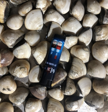 葡萄西瓜热搜词更多更多更多更多更多更多更多更多全部品类