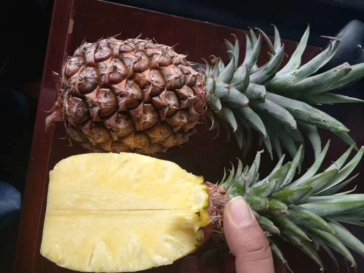 水果营养成分对比图