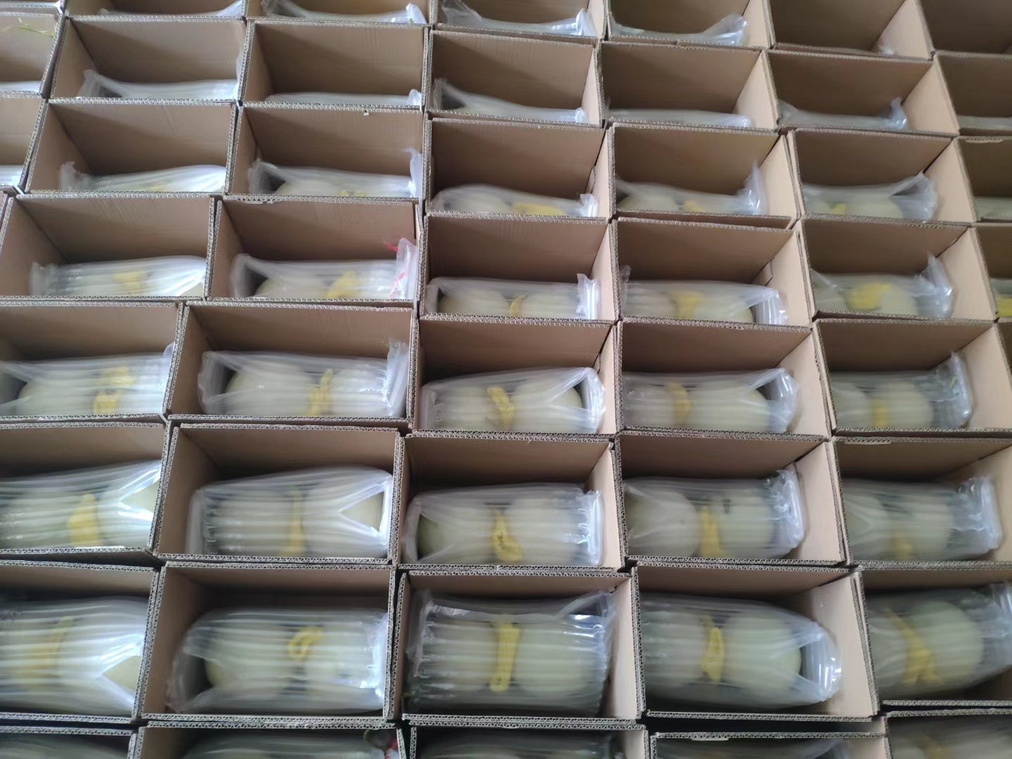 一组约10个玉菇甜瓜整齐摆放在超市生鲜区的塑料托盘上,背景有价格标签显示“玉菇甜瓜 19.8元/斤”,旁边配有绿色叶片装饰,灯光明亮,体现商品化包装场景 超市中摆放整齐的玉菇甜瓜货架