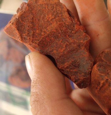 血竭进口货皇冠血竭块质量保证关书药业