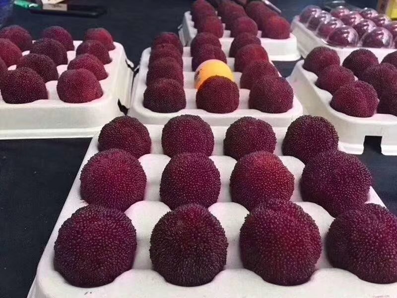 东魁杨梅果盘与果酒搭配展示