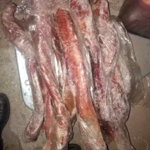畜牧冻品请选购优质驴肉马肉板肠下水