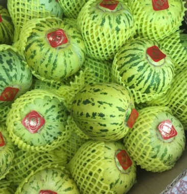 花仙子山东甜瓜惠民甜瓜产地直销大量供应口感甜脆