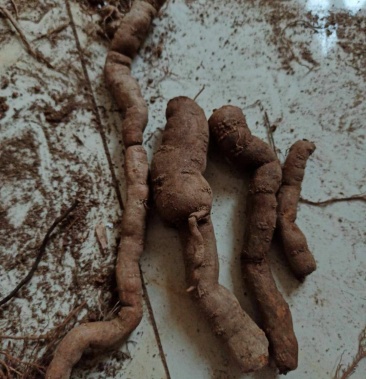 00元/斤 - 一亩田