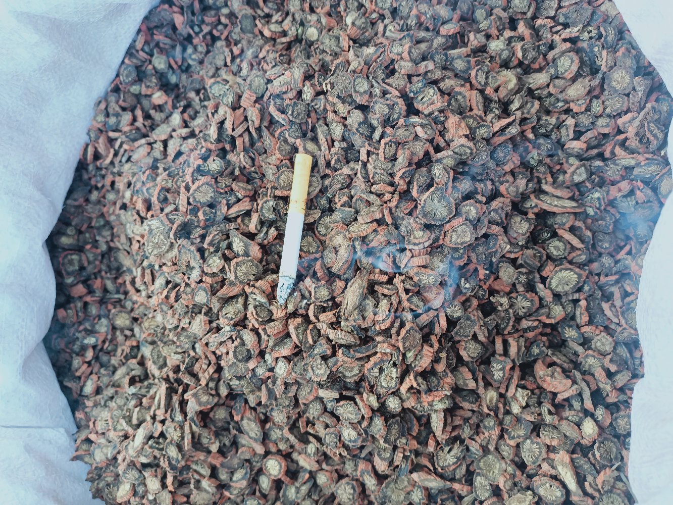 图中展示的是市面上常见的丹桂地黄丸药品包装与药丸实物,背景为中医养生风格,适合用于科普类文章配图 丹桂地黄丸产品图