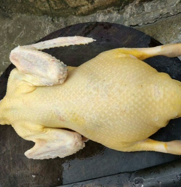 清水河流动水玉米青头鸭黄肉黄皮