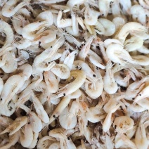 钩子虾，