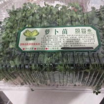 芽苗菜