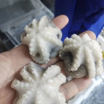 八爪鱼三去翻花可以贴牌生产八爪鱼原料
