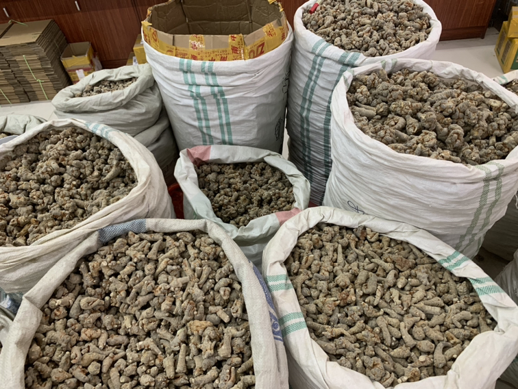 一个干净的白色托盘上放置一瓶玻璃装三七超细粉,瓶身标签清晰标注‘云南文山三七粉 20头 特级’,旁边散落少许红色罐装包装和一小堆棕黄色粉末,背景虚化为中药房货架,体现专业与品质感 三七粉产品展示图