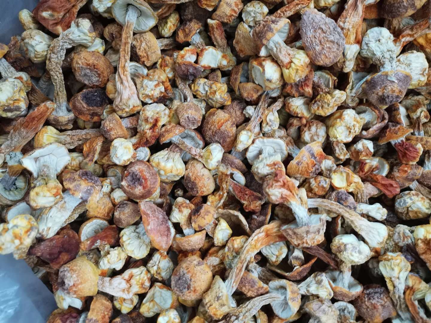 图片说明:姬松茸干品用于炖汤,散发出浓郁的菌香 姬松茸炖汤示意图