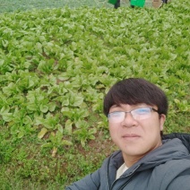 谁有土地需要转让的100亩左右请联系我