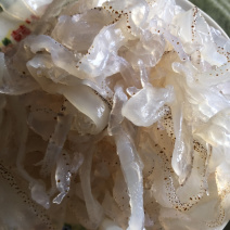 凉皮海蜇是一种重要的营养食品一件也是批发价格