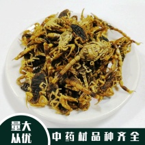 蝎子全虫可打粉各种规格批发品质保证