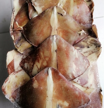 鱿鱼耳秘鲁鱿鱼尾鱿鱼翅鱿鱼翼北太鱿鱼耳原料无冰