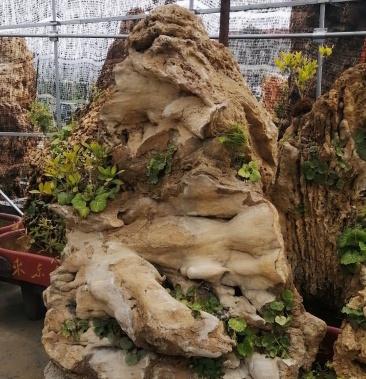 [上水石批发]上水石价格4880.00元/个 - 一亩田