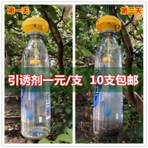 新型实用果实蝇诱捕器果园菜地瓜果实蝇药水引诱剂诱捕剂针