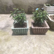 底部灌浆花盆模具