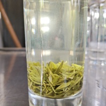 毛尖茶