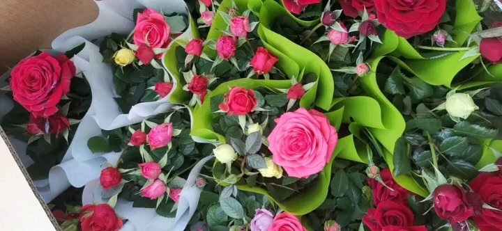 一组精美的花艺设计作品展示,主花材为红双喜大花月季,搭配尤加利叶、满天星等配材;作品包括新娘手捧花、餐桌中央装饰花束、礼盒包装切花组合;花朵姿态优雅,红白渐变色彩突出,整体风格浪漫高贵,适用于婚礼、庆典场景 红双喜月季在花艺作品中的应用场景