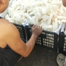 竹荪