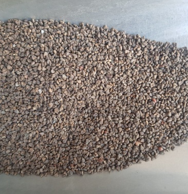 [冬葵果批发]冬葵子 中药材 天然纯新货 冬葵实冬葵籽 葵菜子茼价格7.