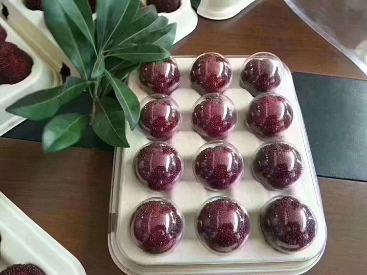 东魁杨梅泡酒分层示意图