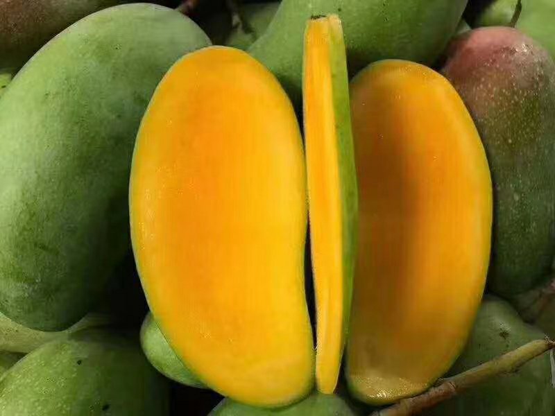 一个成熟的金煌芒被横向切开,露出橙黄色的果肉和较大的扁平果核,果核表面光滑,边缘较薄,但并非完全透明或如纸般脆弱,果肉饱满多汁,背景为木质餐桌,旁边有一把银色水果刀 金煌芒切开图