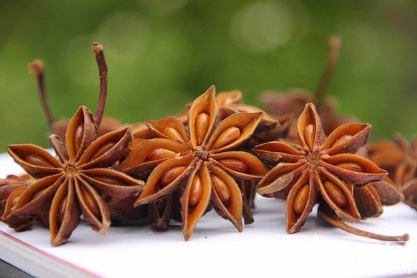 八角与香料搭配图