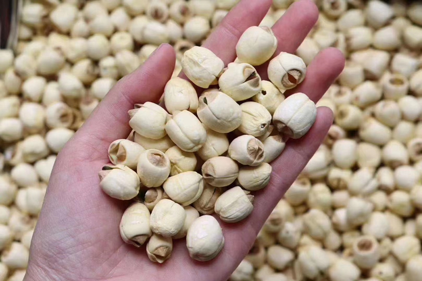 新鲜莲子与其他坚果类食材对比图