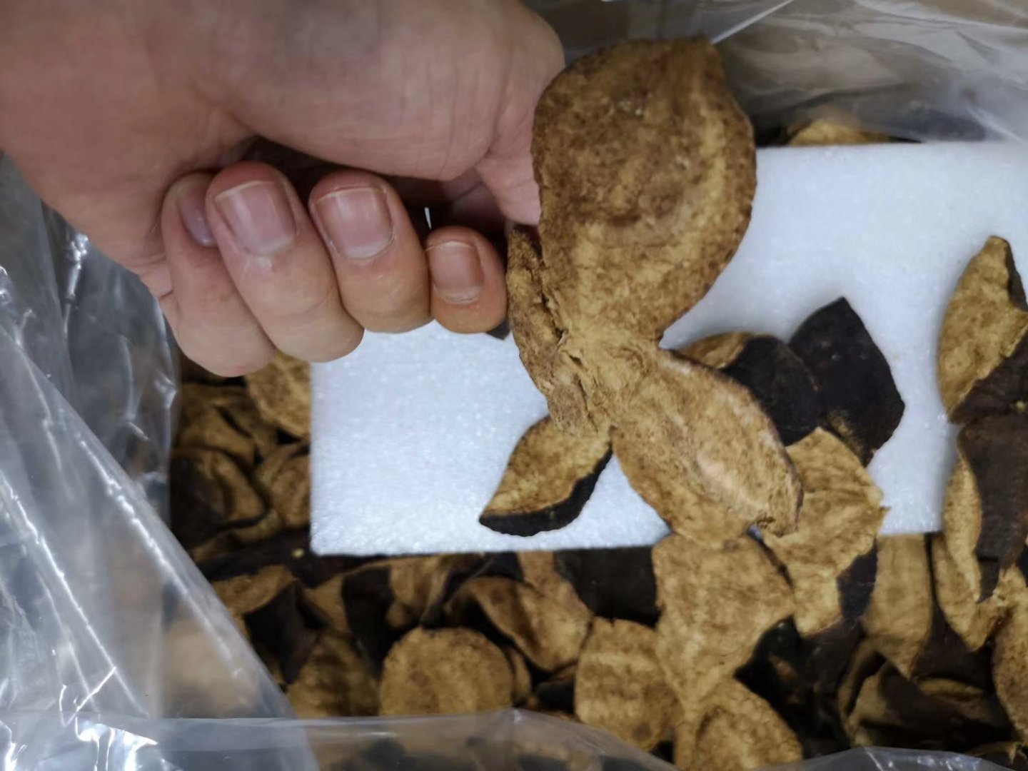 陈皮与绿豆组合图,展现绿色绿豆与深褐色陈皮的视觉对比 陈皮与绿豆组合